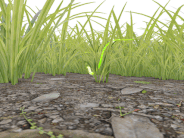 Promo Video - "Plant Decontamination"